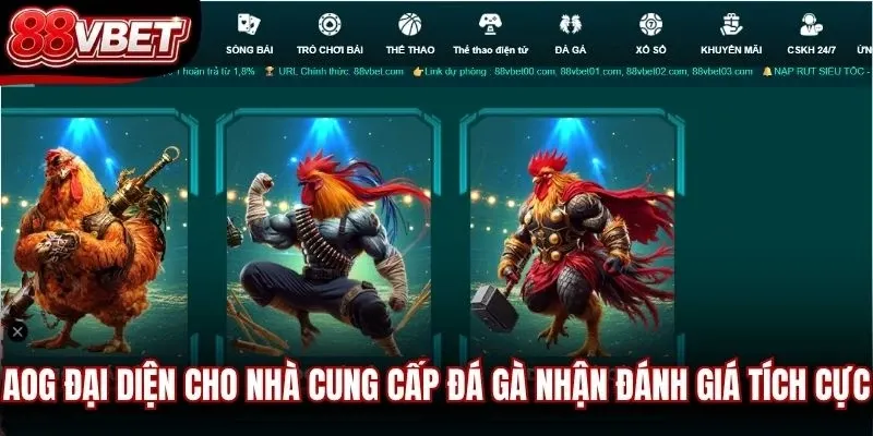 AOG đại diện cho nhà cung cấp đá gà nhận đánh giá tích cực