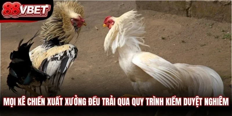 Mọi kê chiến xuất xưởng đều trải qua quy trình kiểm duyệt nghiêm