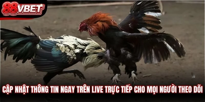 Cập nhật thông tin ngay trên live trực tiếp cho mọi người theo dõi