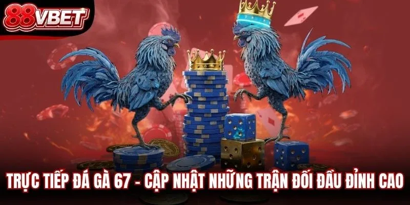 Trực Tiếp Đá Gà 67